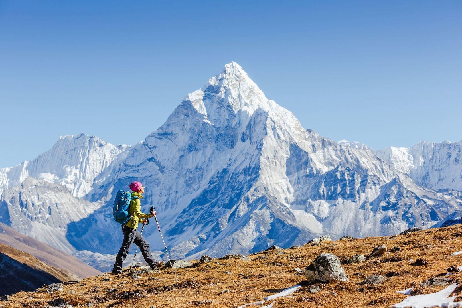A group of hikers moving together on a mountain trail — the human rhythm of the W Circuit, shared with strangers from thirty-two countries
