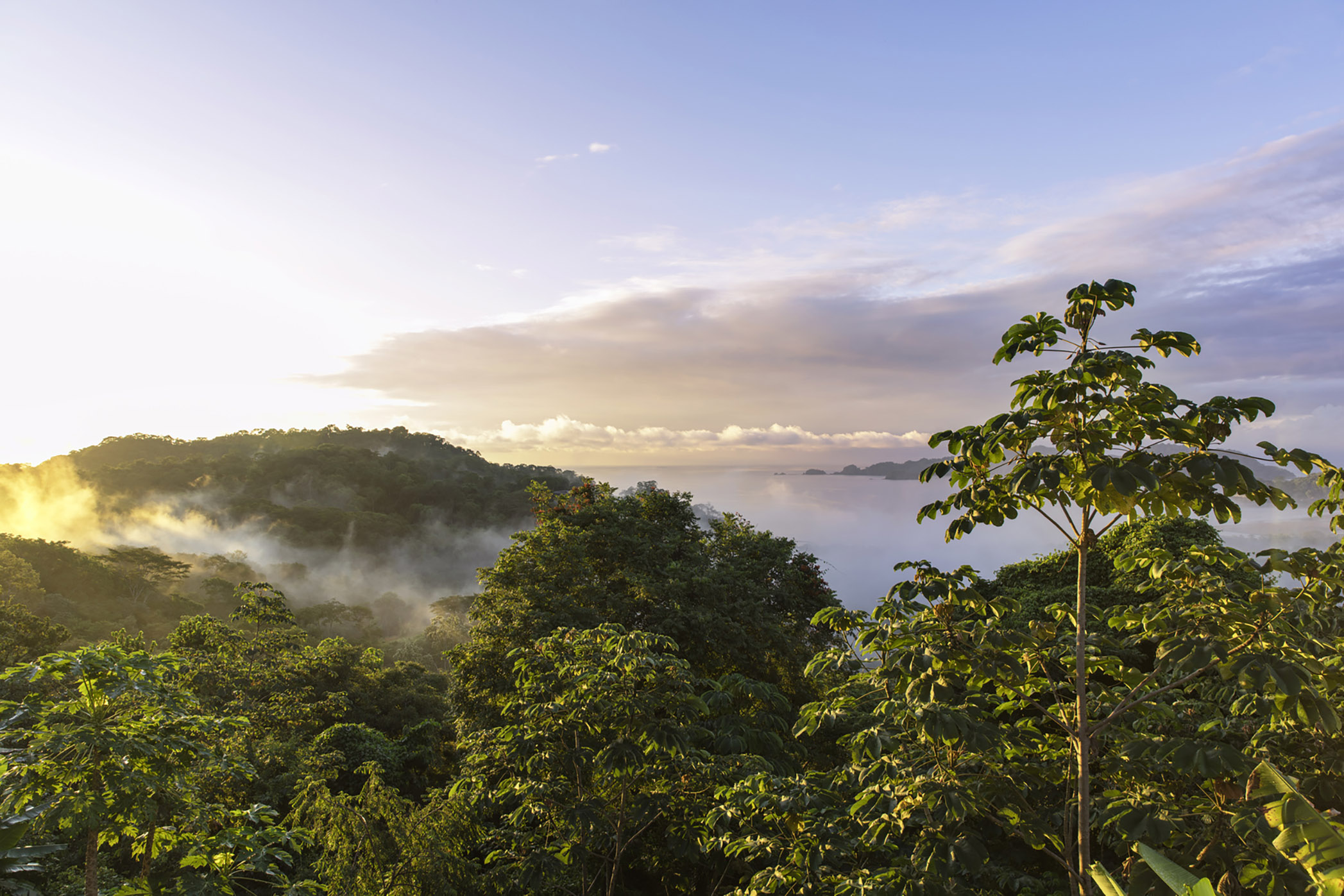 Palm and tropical trees growing by the sea against a warm sunset sky — the Costa Rican coast where the road ends and the swell begins
