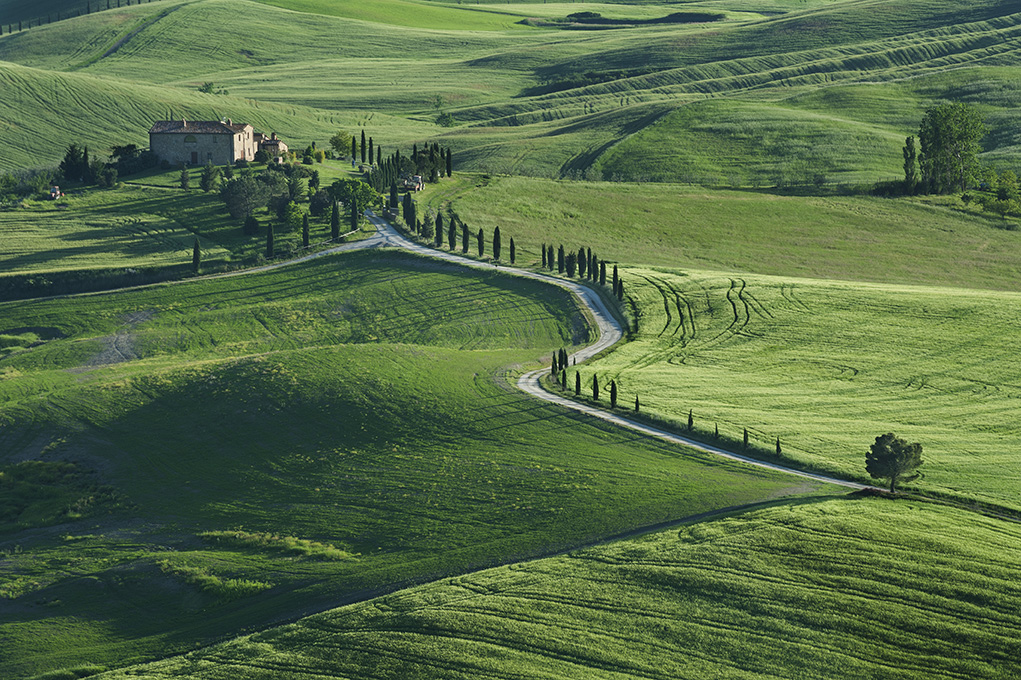 Rolling hills lined with cypress trees and vineyards in the Tuscan countryside at dusk — the valley approach roads between the great cols carry this same quiet rhythm