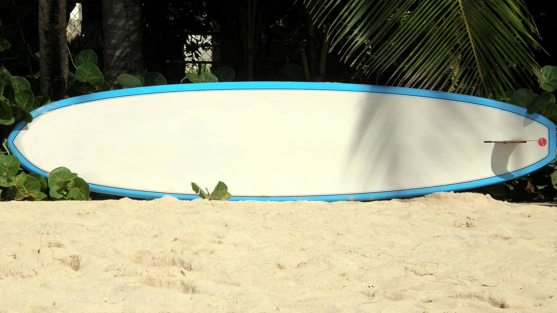 Pavones in form — a left-hander that runs for 700 metres on a good day