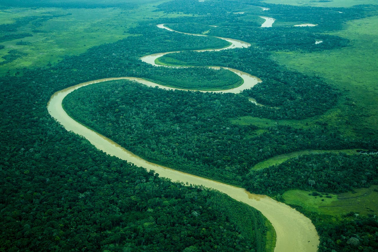 The Amazon at first light — wild swimming on a different scale entirely